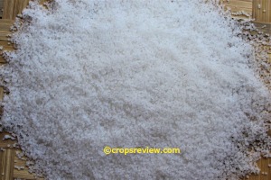 Urea fertilizer (46-0-0) in granular form