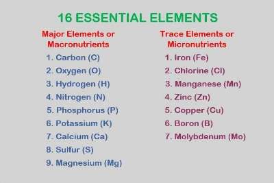 The 16 internationally recognized essential elements for plant growth and development