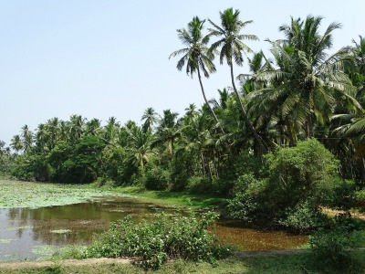 Places adjacent to bodies of water are less prone to severe changes in temperature