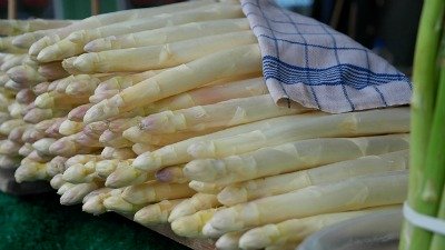 Young, tender shoots of asparagus are also called "spears"