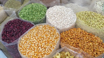 Various seeds of plants on display, including corn caryopsis