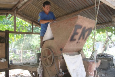 Access to a mechanical sheller, as well as a thresher, are important in growing peanut for profit