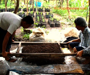 Lyster Gaviola and Junmer Caceres harvested vermicompost with the use of a screen.