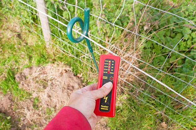 electric fence charger for cattle reviews