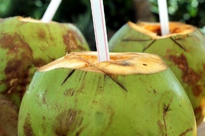 Prospect of green coconut has soared