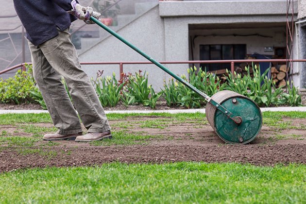 best poly lawn roller