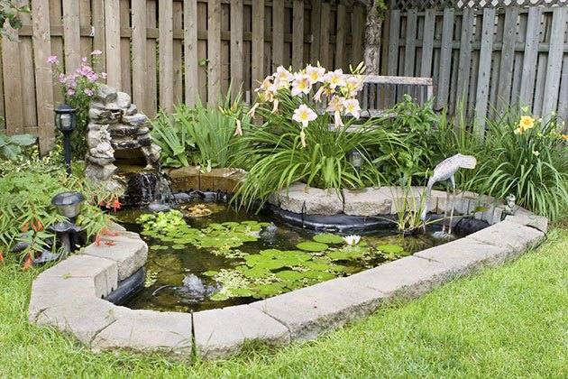 electric fence for garden ponds and fish