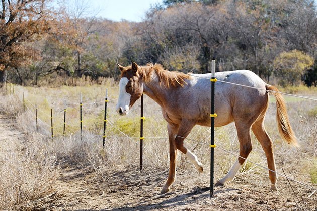 how to install electrobraid horse fence