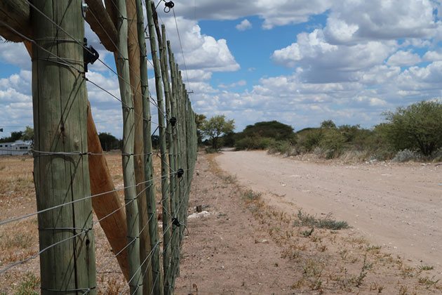 what kind of fence do you need for bison