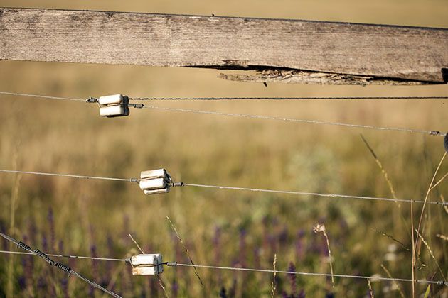 Electric Fence Disadvantages