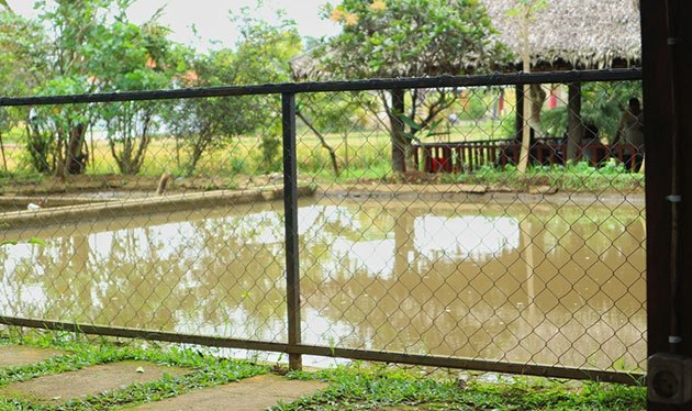 What Is the Best Electric Fence for Ponds