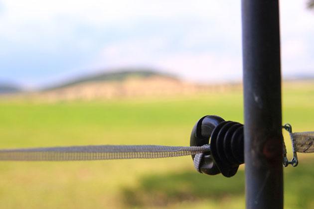 best fencing to keep skunks out