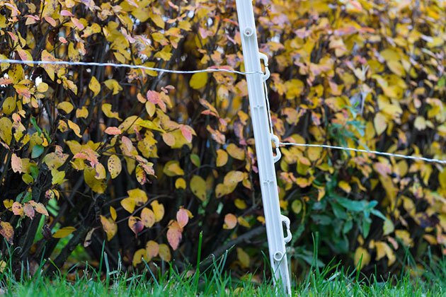 best electric fence posts for cattle