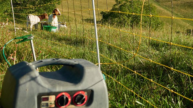 best electric fence for goats and sheep