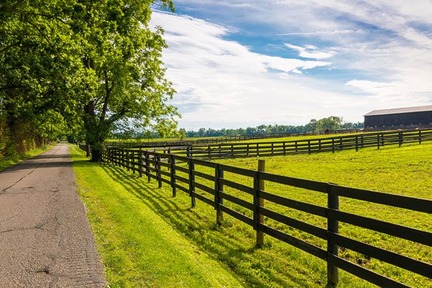 Types of Fencing Materials