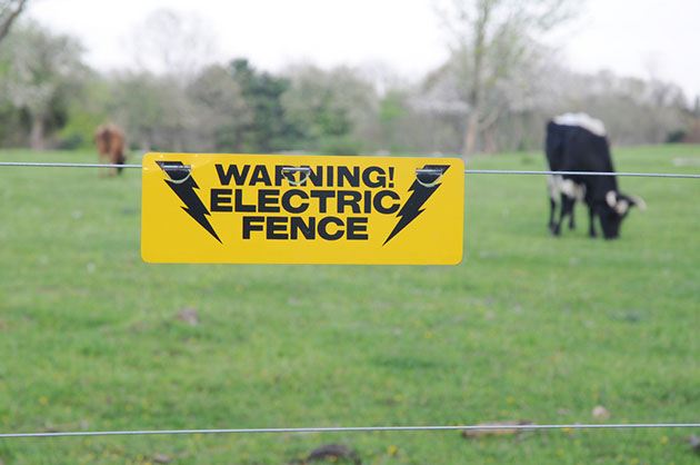 best electric fence Insulated wire