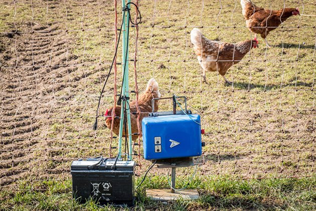 Best Electric Fence for Poultry