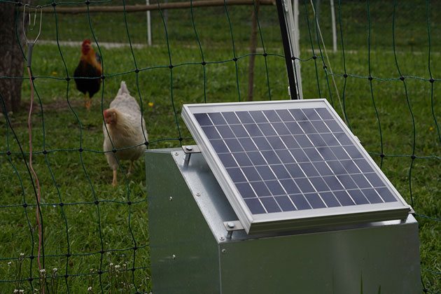 best solar powered electric fence for chicken
