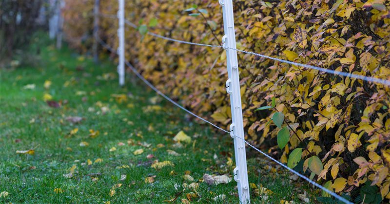 best electric fence posts