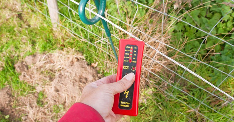 best electric fence tester