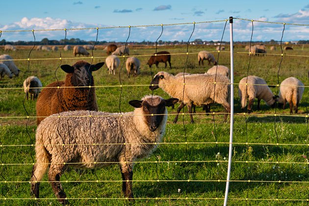 agricultural fencing 101