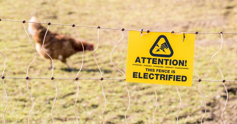 electric garden fence for chickens