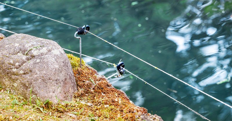 electric fence for garden ponds