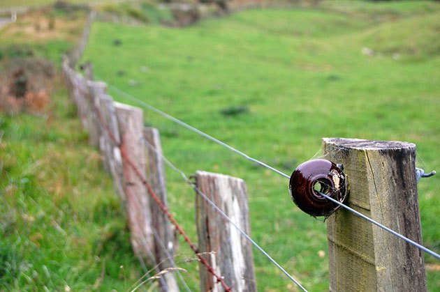 electric garden fence for groundhogs and rabbits