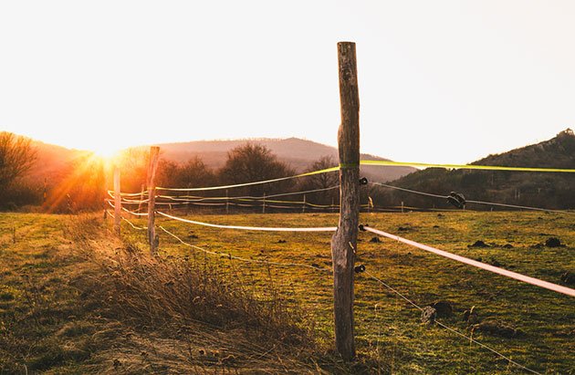 solar electric fence for groundhogs