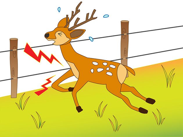 solar powered electric fence for deer