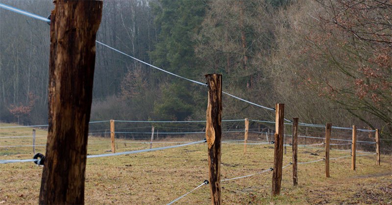 how does an electric fence work