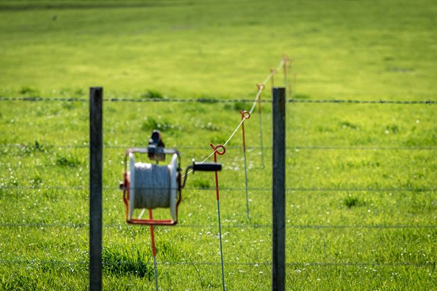 best electric fence auto reel