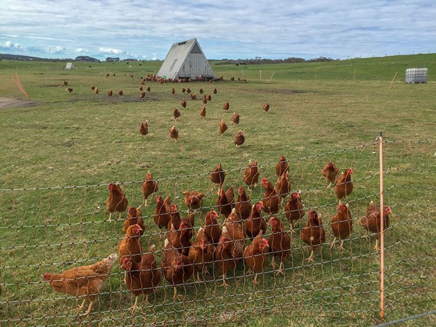 how to make sure electric fence is working