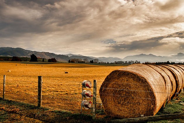 michigan electric fence laws