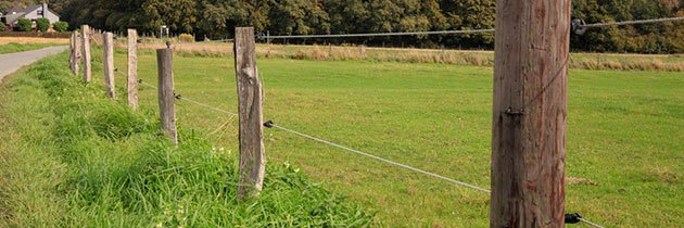 Inspecting different electric fencing parts checklist