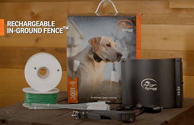 sportdog rechargeable in-ground dog fence system reviews