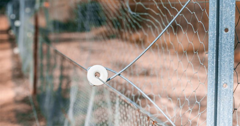 best electric fence netting