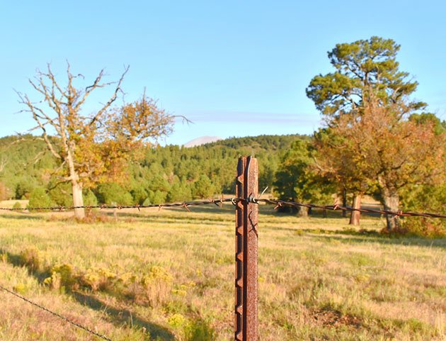 t-post vs u-post fence