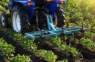 when was row crop farming invented