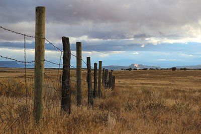 what is the best barbed wire for cattle