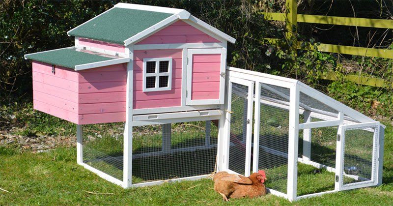 best chicken coop