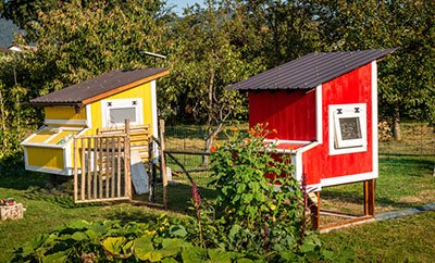 what are the best chicken coops