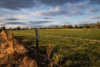 how do i make sure my fence line is straight