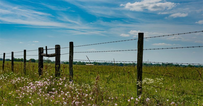 do i need to spray my fenceline