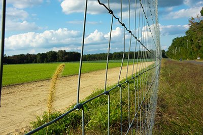 can you spray liquid fence directly on plants