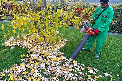 best leaf vacuum mulcher 2023