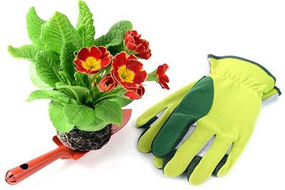 best gardening gloves for women