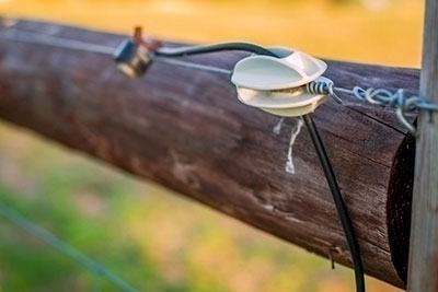 can a electric fence kill you