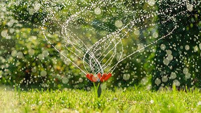 best sprinkler for garden plants