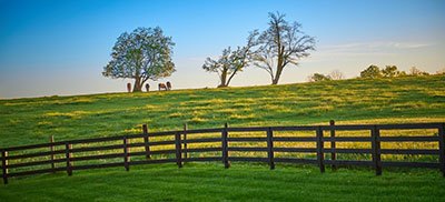 What is the best wood for a ranch fence?